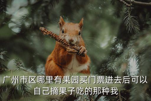 廣州白云區果園，白云果園是果園嗎