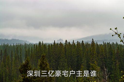 深圳三億豪宅戶主是誰