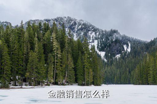 深圳小微金融銷售怎樣，金融銷售怎么樣