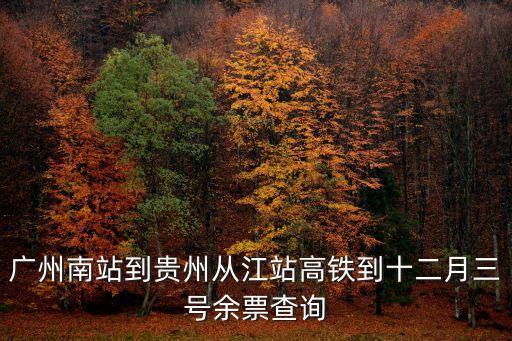廣州南站到貴州從江站高鐵到十二月三號余票查詢