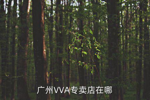 廣州VVA專賣(mài)店在哪