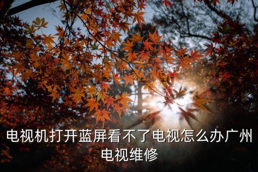 電視機打開藍屏看不了電視怎么辦廣州電視維修