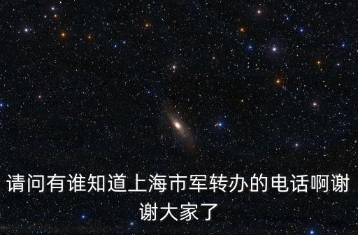 上海市 軍轉辦 姚勇，上海浦東開發開放的目的是解決上海面臨的城市問題