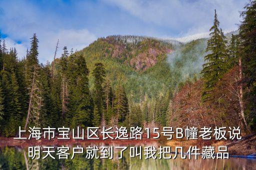 上海市寶山區長逸路15號B幢老板說明天客戶就到了叫我把幾件藏品