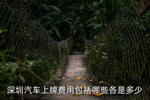 深圳汽車搖號多少錢，深圳現在買車還要搖號嗎 一個牌照要多少錢