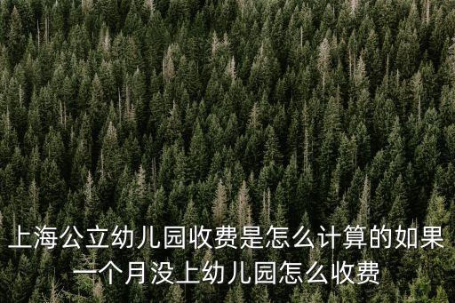 上海市福山幼兒園收費標準，上海幼兒園學費生活費一般是多少