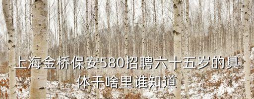 上海金橋保安580招聘六十五歲的具體干啥里誰知道