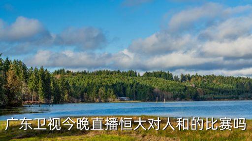 廣東衛視今晚直播恒大對人和的比賽嗎