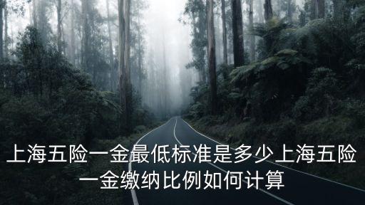 上海市交金基數計算，上海社保金繳費基數的計算方式