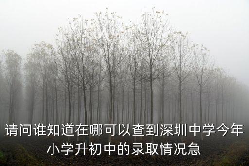 今年深圳中學錄取名單，08年深圳中考錄取名單