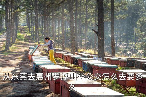 從東莞去惠州羅浮山坐公交怎么去要多久