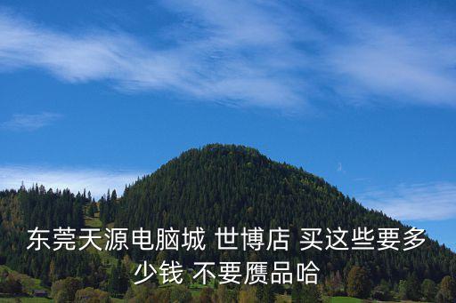 東莞天源電腦城 世博店 買這些要多少錢 不要贗品哈