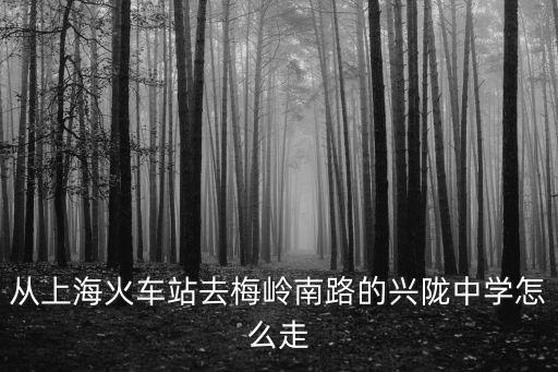 從上海火車站去梅嶺南路的興隴中學(xué)怎么走