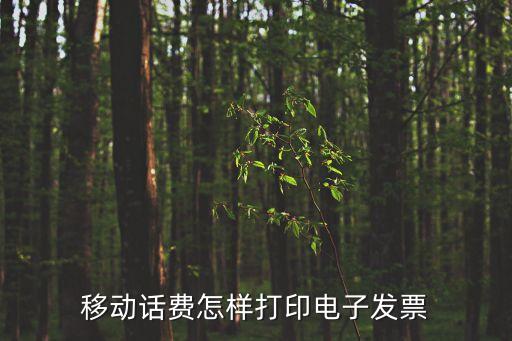 移動話費怎樣打印電子發票