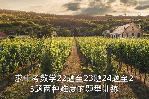 求中考數學22題至23題24題至25題兩種難度的題型訓練