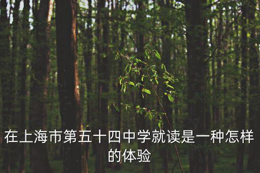在上海市第五十四中學就讀是一種怎樣的體驗