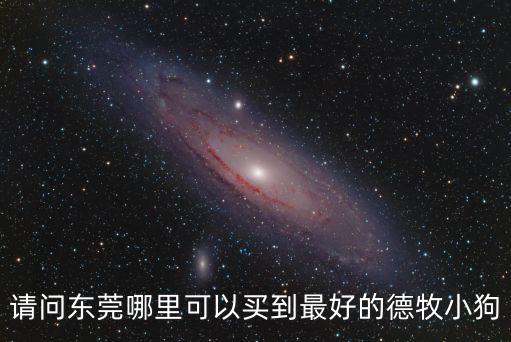 請問東莞哪里可以買到最好的德牧小狗