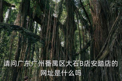 請問廣東廣州番禺區大石B店安踏店的網址是什么嗎