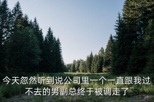 東莞市路橋投資建設有限公司副總，潮流集團副首領是那位