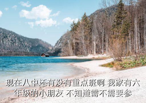 現(xiàn)在八中還有沒有重點班啊 我家有六年級的小朋友 不知道需不需要參