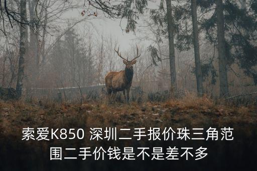 國際冠軍杯 深圳 轉讓，誰能告訴我深圳哪里可以買到便宜的阿迪達斯板鞋除了專賣店