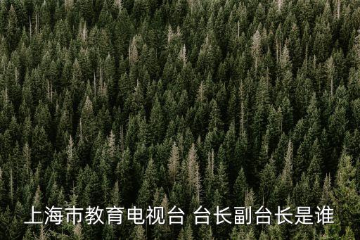 上海市教育電視臺 臺長副臺長是誰