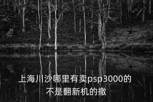 上海市川沙電玩城，上海川沙哪里有賣(mài)psp3000的 不是翻新機(jī)的撒