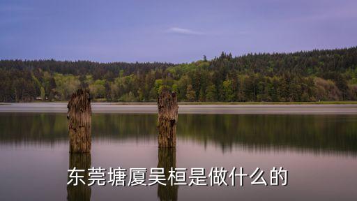 東莞塘廈吳桓是做什么的