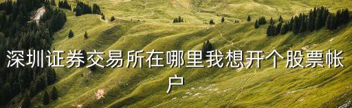 深圳深交所具體地址，深圳證券交易所在哪里我想開個股票帳戶