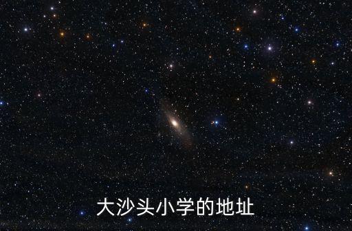 大沙頭小學的地址