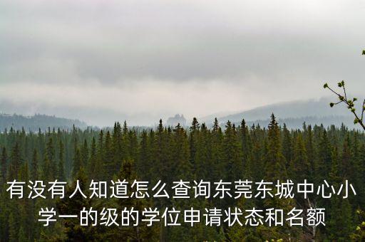 有沒有人知道怎么查詢東莞東城中心小學一的級的學位申請狀態和名額