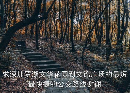 求深圳羅湖文華花園到文錦廣場的最短最快捷的公交路線謝謝