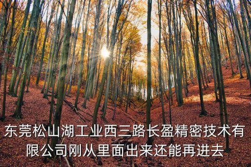 東莞松山湖工業(yè)西三路長盈精密技術(shù)有限公司剛從里面出來還能再進(jìn)去
