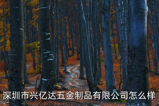 深圳市興億達五金制品有限公司怎么樣