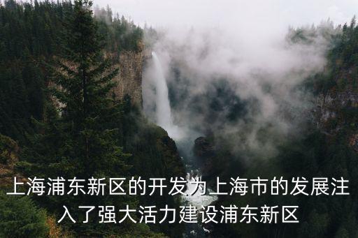 上海浦東新區的開發為上海市的發展注入了強大活力建設浦東新區