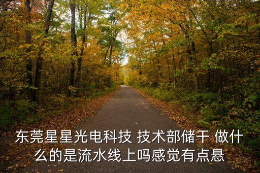 東莞石排星星光電科技公司官網，星星光電薄膜科技有限公司現在還招不招人呀
