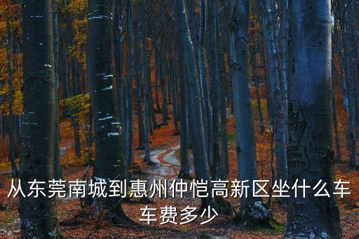從東莞南城到惠州仲愷高新區(qū)坐什么車車費(fèi)多少