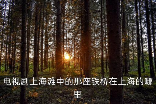 電視劇上海灘中的那座鐵橋在上海的哪里