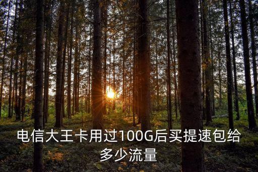 電信大王卡用過100G后買提速包給多少流量