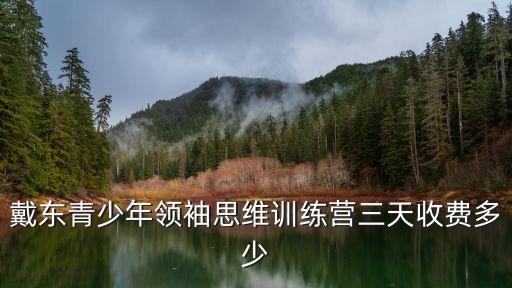 戴東青少年領袖思維訓練營三天收費多少