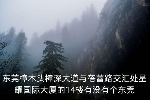 東莞樟木頭樟深大道與蓓蕾路交匯處星耀國際大廈的14樓有沒有個東莞