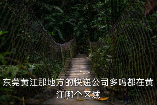 東莞達(dá)達(dá)哪個(gè)區(qū)域訂單多，東莞哪個(gè)區(qū)最多商場(chǎng)