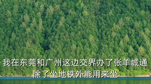 我在東莞和廣州這邊交界辦了張羊城通除了坐地鐵外能用來坐