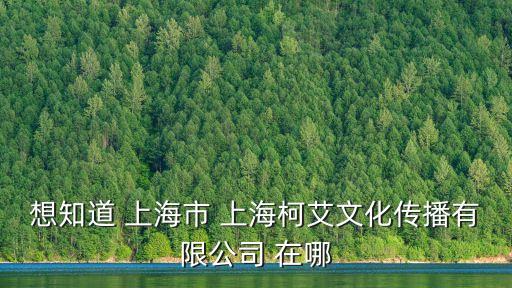 上海市臺路515弄10號，想知道 上海市 上海柯艾文化傳播有限公司 在哪