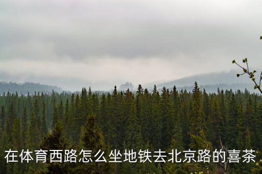 在體育西路怎么坐地鐵去北京路的喜茶