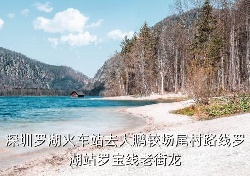 羅湖火車站到深圳大鵬，深圳羅湖火車站去大鵬較場尾村路線羅湖站羅寶線老街龍