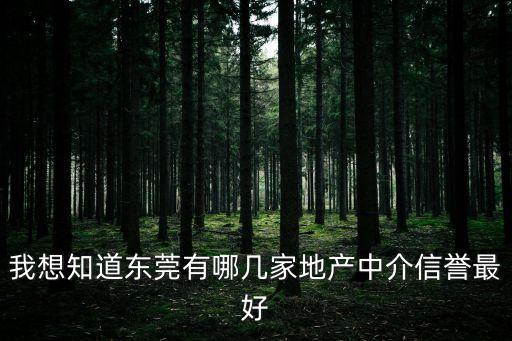 我想知道東莞有哪幾家地產中介信譽最好