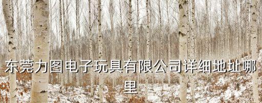 東莞力圖電子玩具有限公司詳細地址哪里