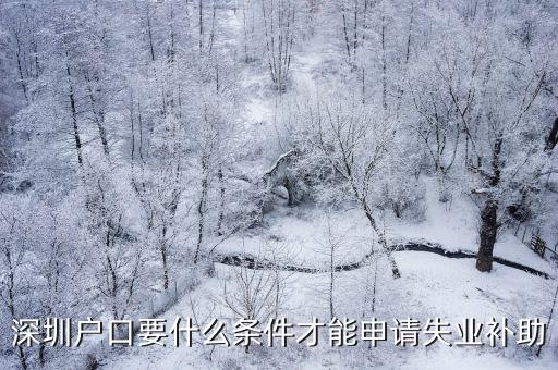 深圳戶口可以領失業嗎，深圳戶口要什么條件才能申請失業補助