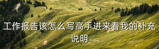 工作報告該怎么寫高手進來看我的補充說明